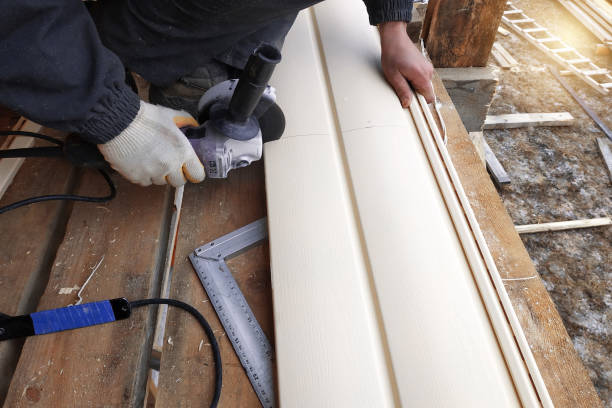 Best Aluminum Siding Installation  in Albion, NE