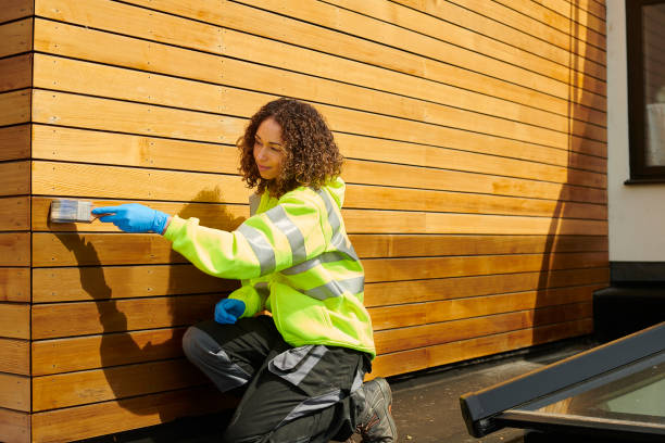 Best Fascia and Soffit Installation  in Albion, NE